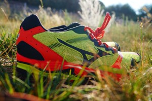 Mizumo Wave Ascend 8 - 1