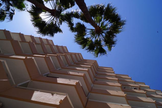 WhatsApp Image 2017-05-06 at 11.45.45.jpeg