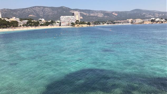 WhatsApp Image 2017-05-06 at 12.53.59.jpeg