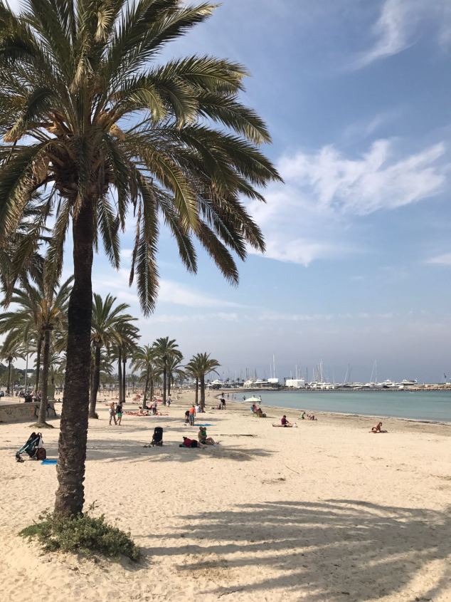 WhatsApp Image 2017-05-06 at 12.54.01.jpeg